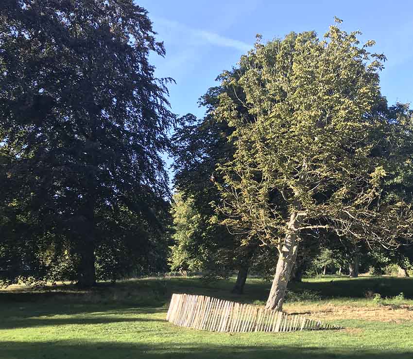 Skævt Træ / Tilted Tree – Karin Lind